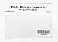 Image Associated With the Occurence